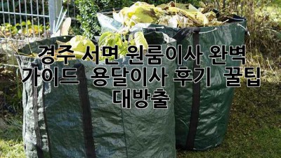 경주 서면 원룸이사 완벽 가이드 🚚 용달이사 후기 & 꿀팁 대방출!